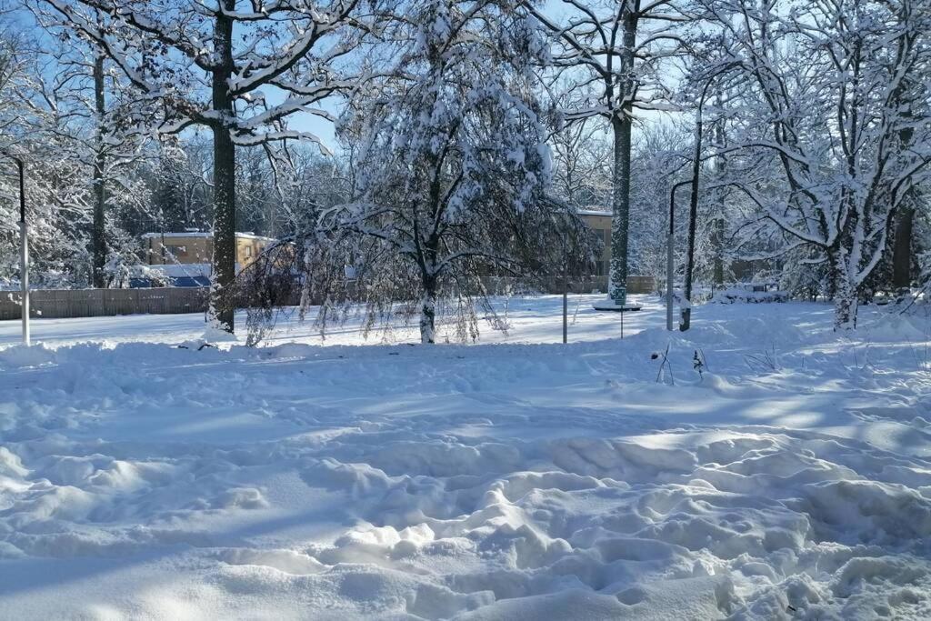 Hajnówka Nowoczesny Apartament W Puszczy Bialowieskiej מראה חיצוני תמונה