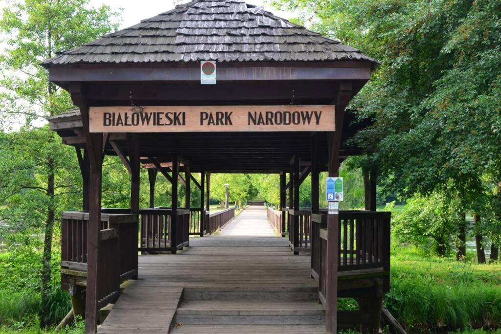 Hajnówka Nowoczesny Apartament W Puszczy Bialowieskiej מראה חיצוני תמונה